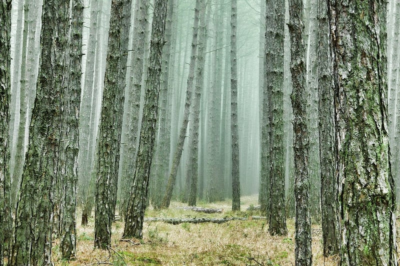 Hiking Trail